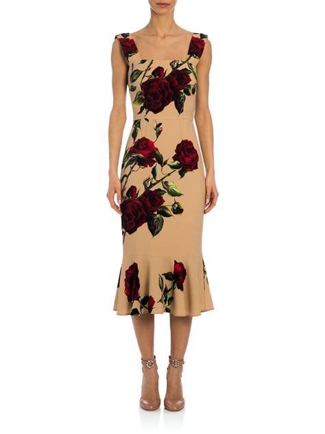 robe dolce gabbana rose|net a porter dolce gabbana.